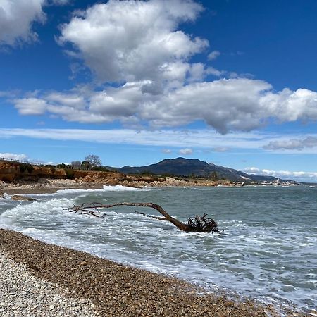 Casa Queralt Διαμέρισμα Les Cases d'Alcanar Εξωτερικό φωτογραφία